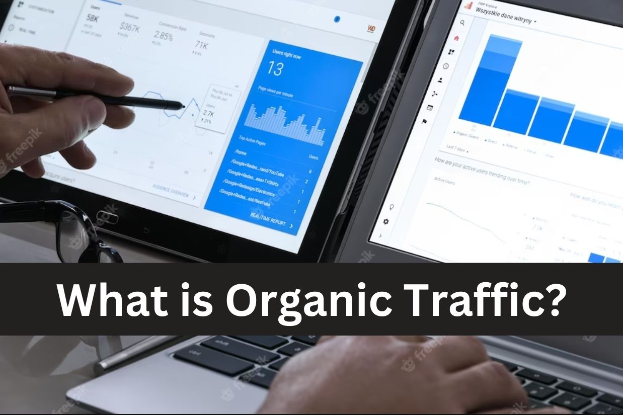 What is Organic Traffic