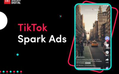 What is Spark Ads on TikTok? [Detailed Guide]