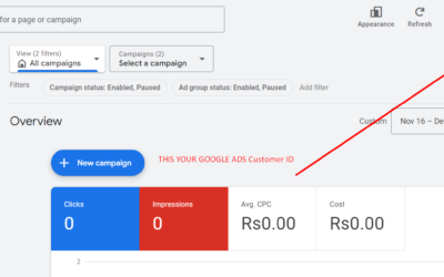 How To Find Google Ads Customer ID?