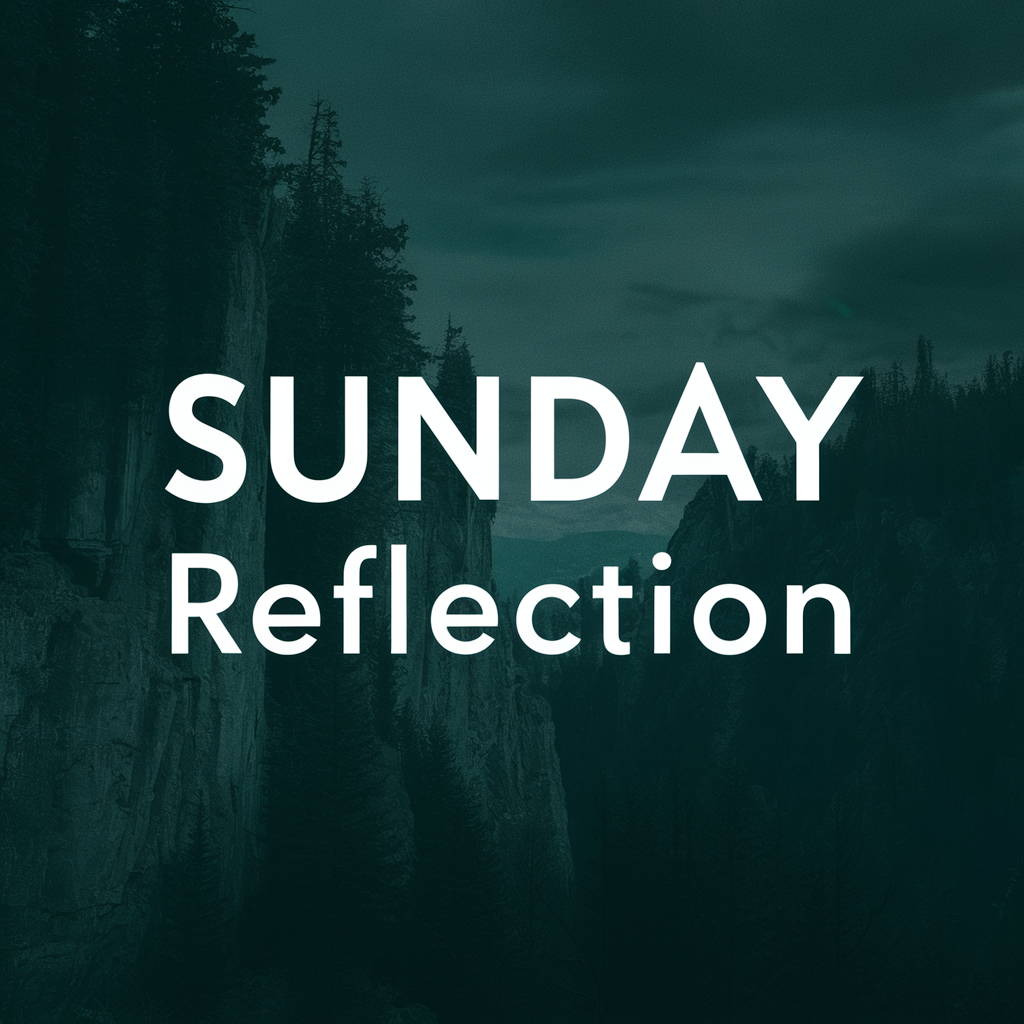 Sunday Reflection