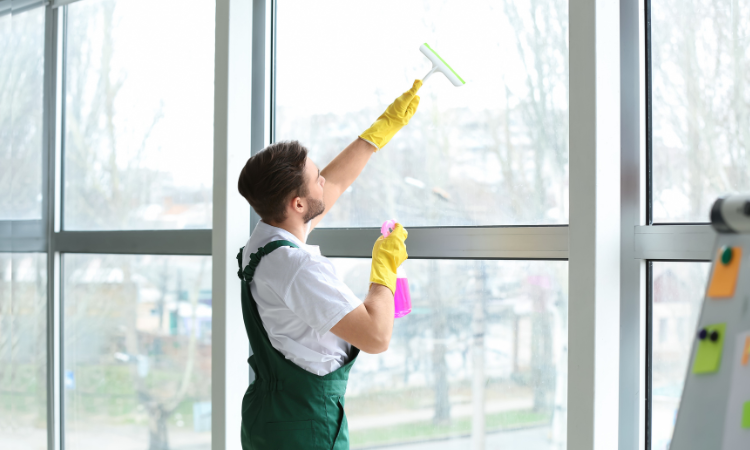 The Importance of Professional Cleaning: